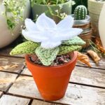 How to Crochet a Stunning Christmas Poinsettia for Holiday Decor
