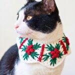 Festive Poinsettia Cat Collar Crochet Pattern - Christmas Pet Collar