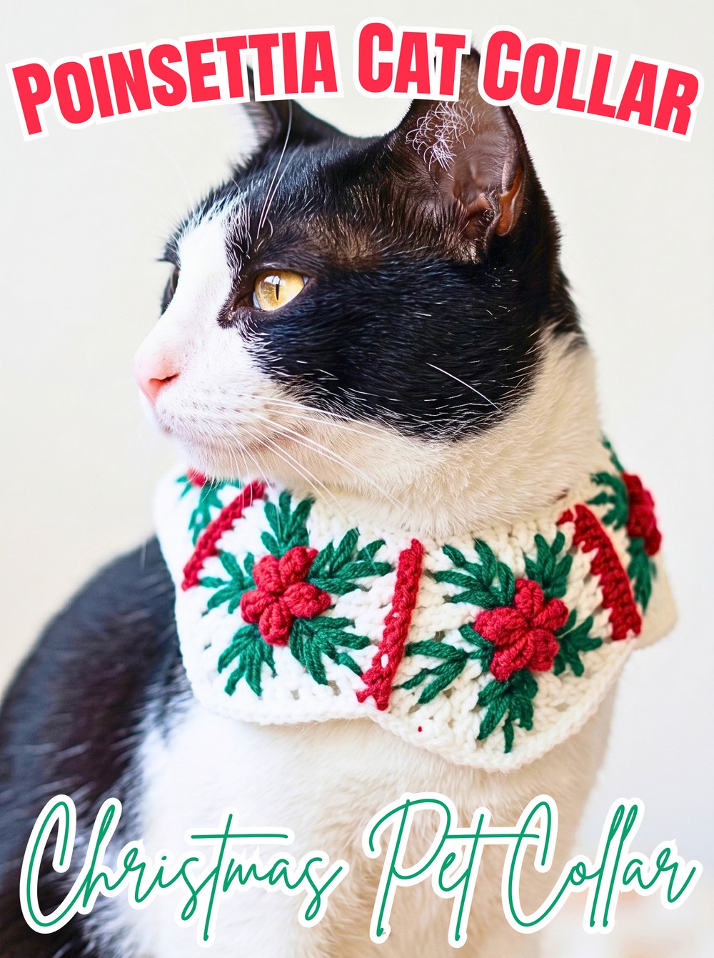 Festive Poinsettia Cat Collar Crochet Pattern - Christmas Pet Collar